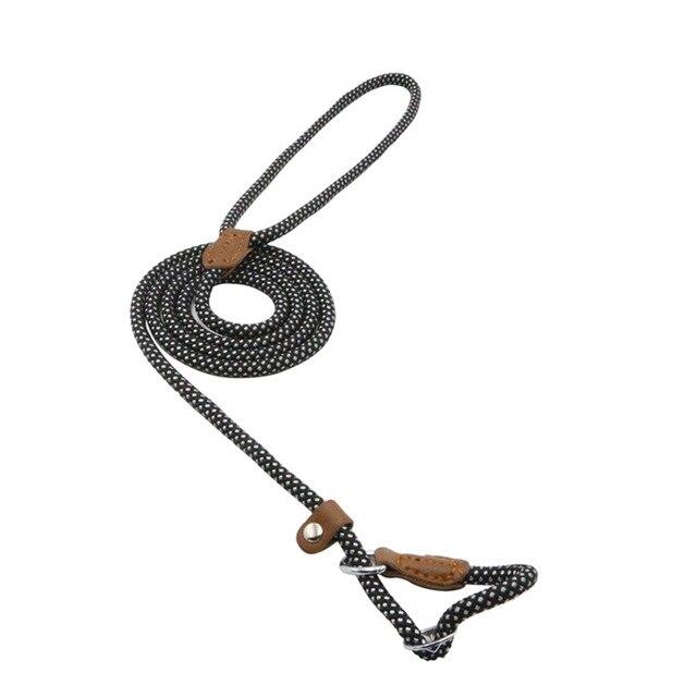 Set Collar y Correa de Nylon para Perro – Tallas S a XL | 4 Colores