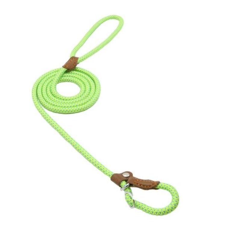 Set Collar y Correa de Nylon para Perro – Tallas S a XL | 4 Colores