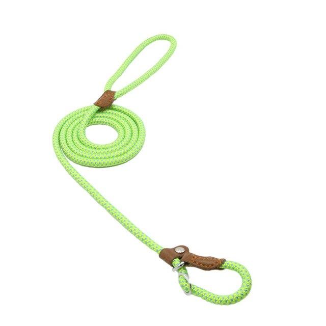 Set Collar y Correa de Nylon para Perro – Tallas S a XL | 4 Colores