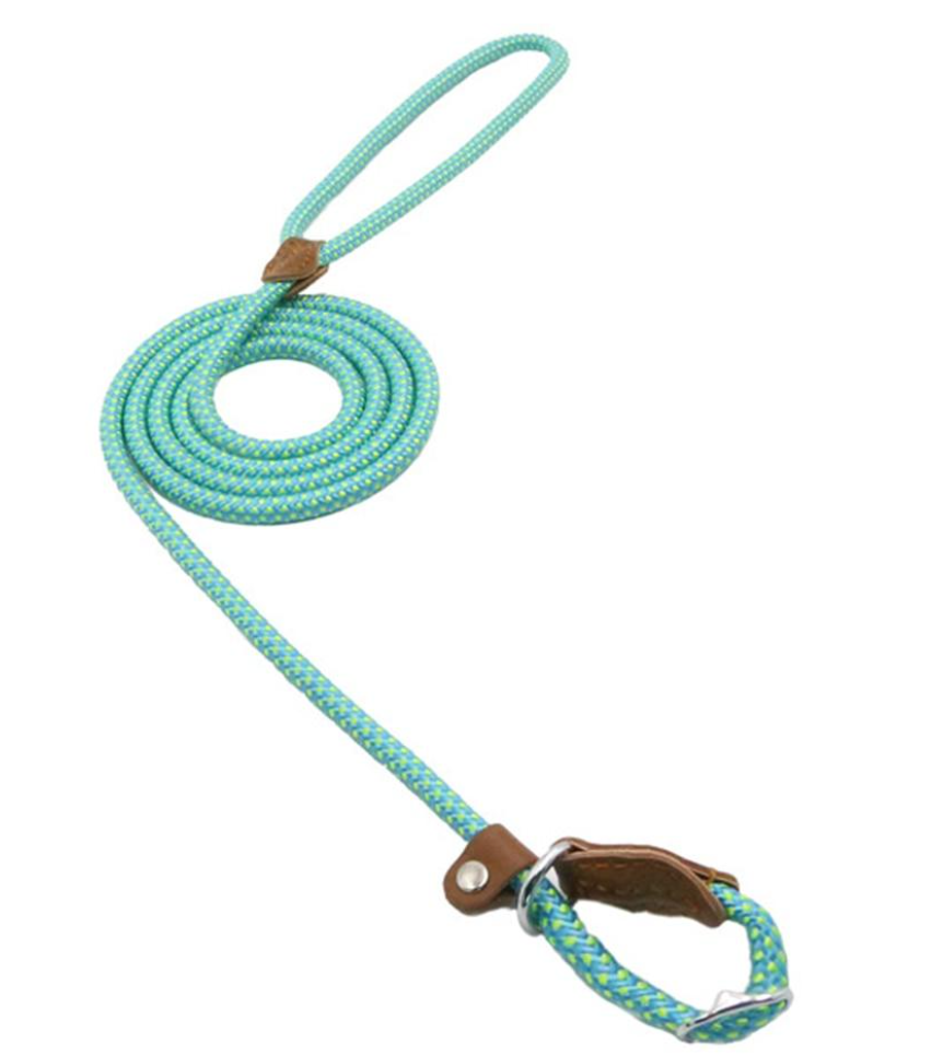 Set Collar y Correa de Nylon para Perro – Tallas S a XL | 4 Colores