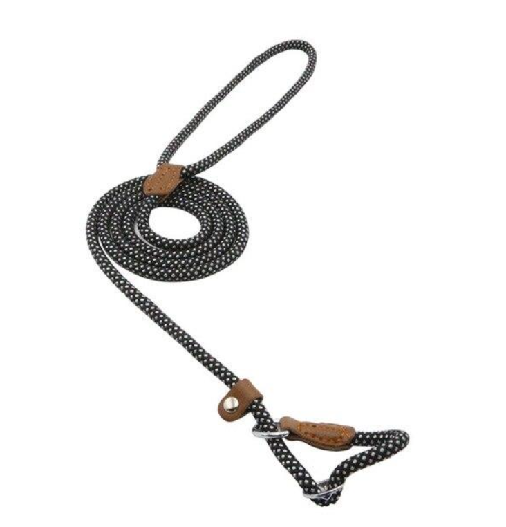 Set Collar y Correa de Nylon para Perro – Tallas S a XL | 4 Colores