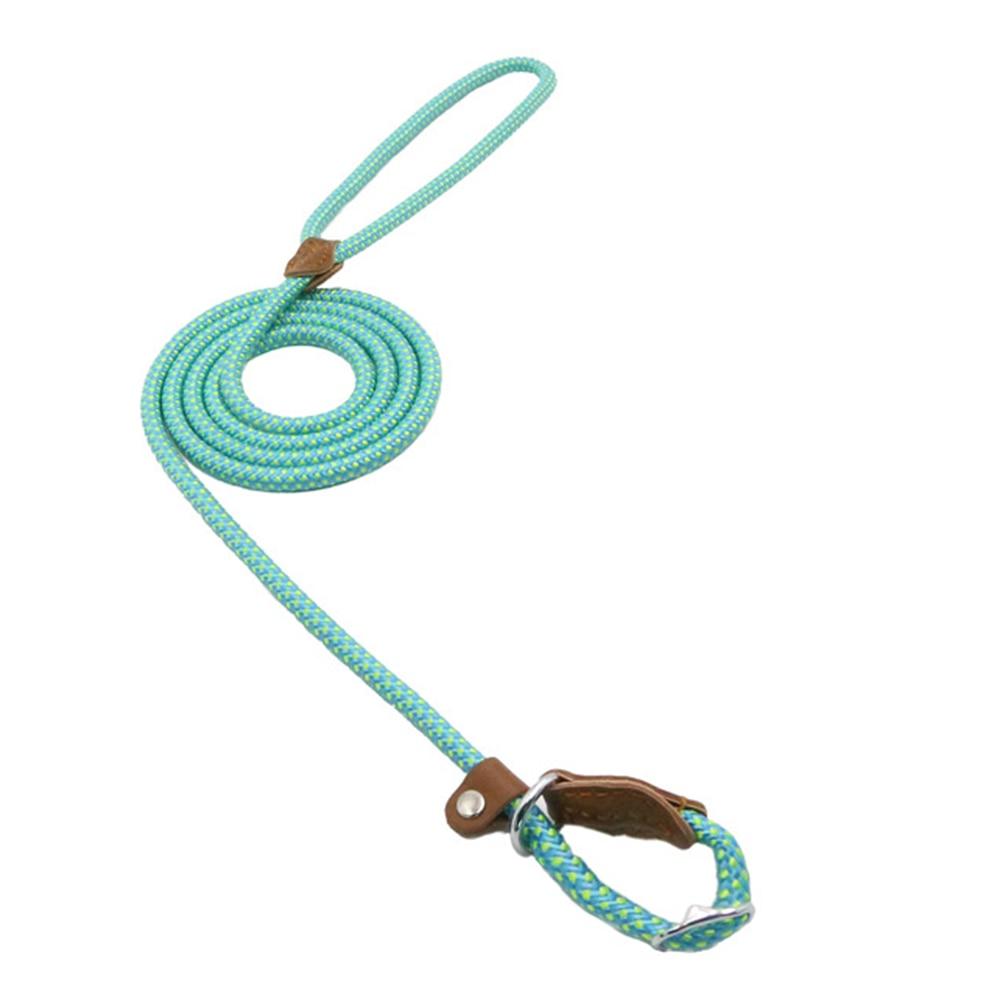 Set Collar y Correa de Nylon para Perro – Tallas S a XL | 4 Colores