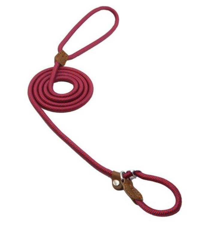 Set Collar y Correa de Nylon para Perro – Tallas S a XL | 4 Colores