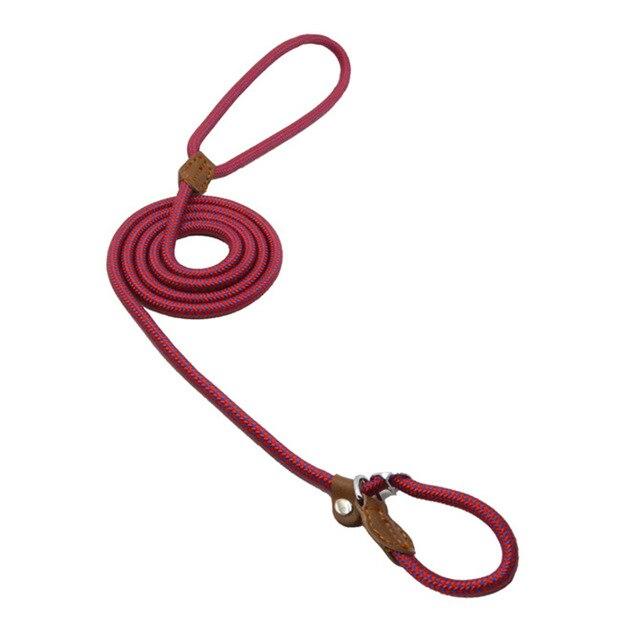 Set Collar y Correa de Nylon para Perro – Tallas S a XL | 4 Colores