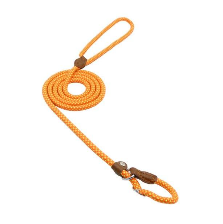 Set Collar y Correa de Nylon para Perro – Tallas S a XL | 4 Colores