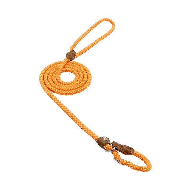 Set Collar y Correa de Nylon para Perro – Tallas S a XL | 4 Colores