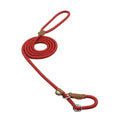 Set Collar y Correa de Nylon para Perro – Tallas S a XL | 4 Colores