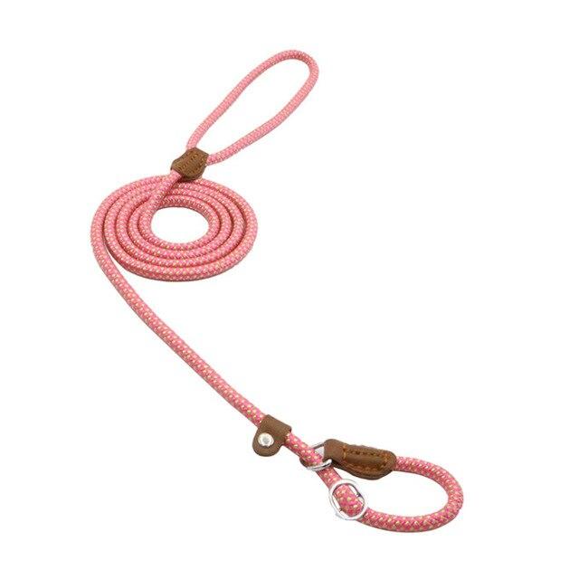 Set Collar y Correa de Nylon para Perro – Tallas S a XL | 4 Colores